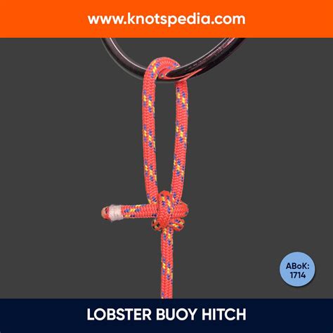 2 BEST Ways to Tie Double Overhand Knot (Double Thumb Knot)