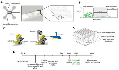 Roll-to-Roll (R2R) High-Throughput Manufacturing of Foil-Based ...