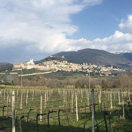 TASTE OF UMBRIA (Gualdo Cattaneo) - What to Know Before You Go
