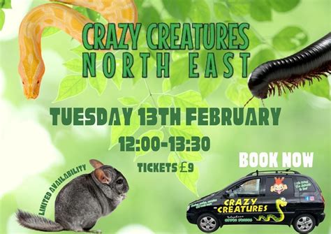 Crazy Creatures North East, The Norman Conquest, South Bank, 13 ...