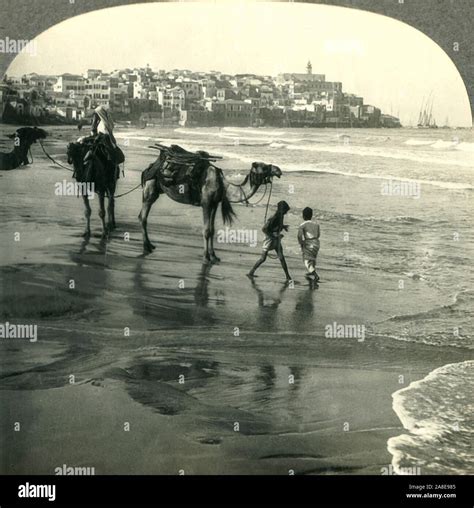 Jaffa Ancient Joppa High Resolution Stock Photography and Images - Alamy