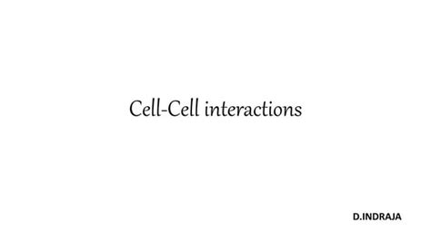Cell-Cell Interaction 的图像结果