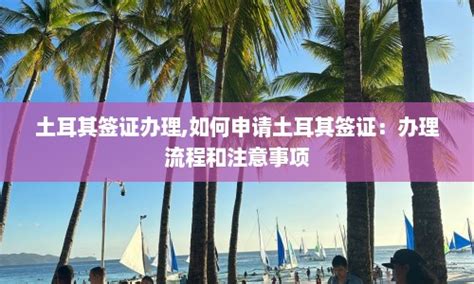 土耳其旅游签证案例,土耳其旅游签证办理流程 -办签证，就上龙签网。