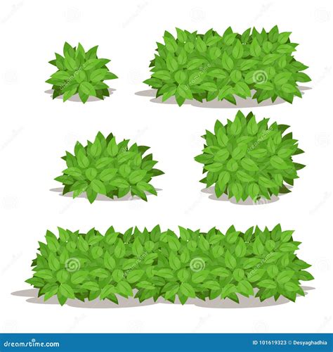 Set of Bushes and Shrubs, Natural Vector Illustration Stock Vector ...