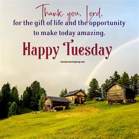 280+ Tuesday Good Morning Blessings Quotes And Images - goodmorningmsg ...