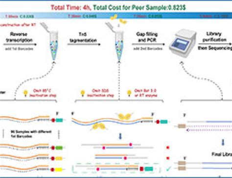 RNA-Seq vs Microarray 的图像结果