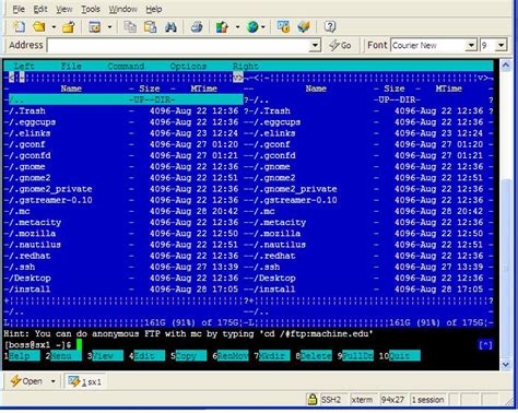 Image result for NetSarang Computer