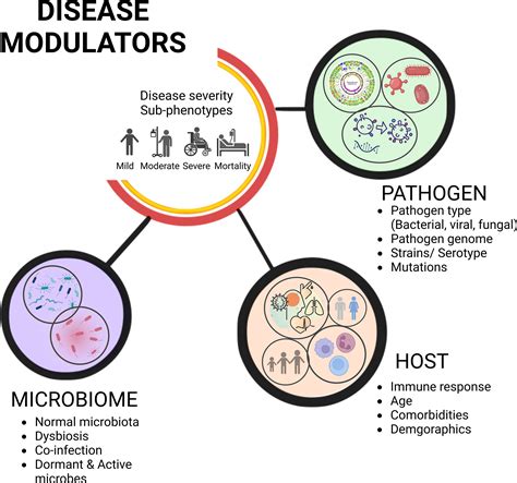 Frontiers | Viral infectious diseases severity: co-presence of ...