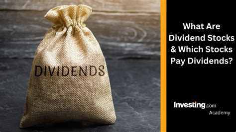 Image result for Dividend Stocks Explained