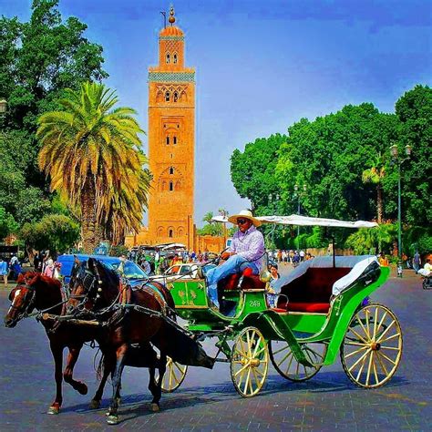 🇲🇦🌍🇲🇦 MARRAKECH CITY 🇲🇦 MOROCCO 🇲🇦 THE CITY'S ATTRACTIONS 🇲🇦 HORSES ...