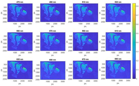 High-Dynamic-Range Spectral Reflectance for the Segmentation of Paint ...
