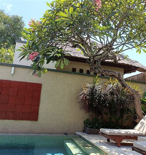 VILLA BLISS BALI (Seminyak) - Villa Reviews, Photos, Rate Comparison ...