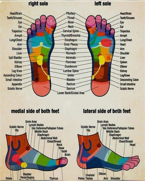 Foot reflexology chart faux canvas print – Artofit