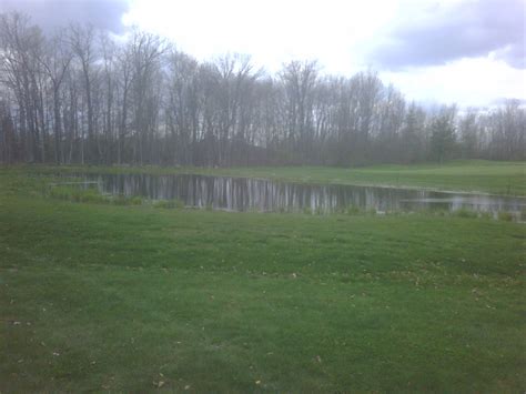 Saginaw MI Pond Digging