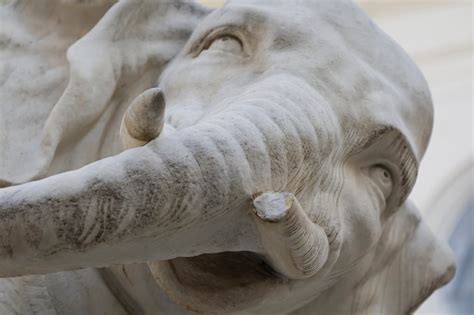 Rome’s Bernini elephant sculpture loses tip of its tusk – again – The ...