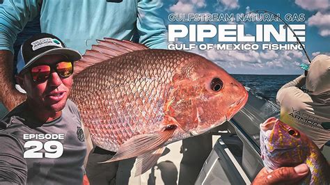 Image result for Red Snapper Fishing