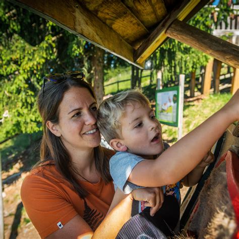 Montelino’s Adventure Path | Infrastructure in Saalbach