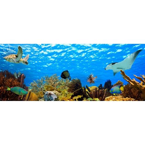 Deniz Akvaryum Posterleri Deniz-258 Fiyatı ve Modeli| 3D POSTER