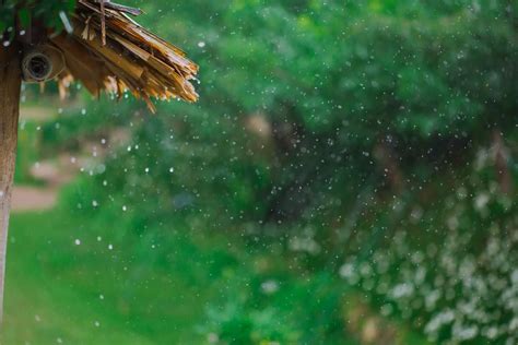 Drizzle 的图像结果