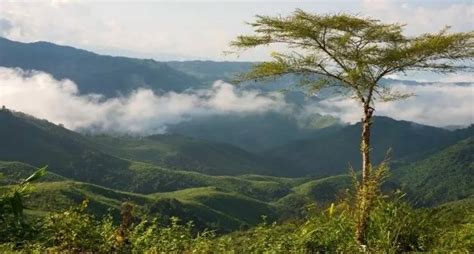 Naga Hills | WhatsHot Kolkata