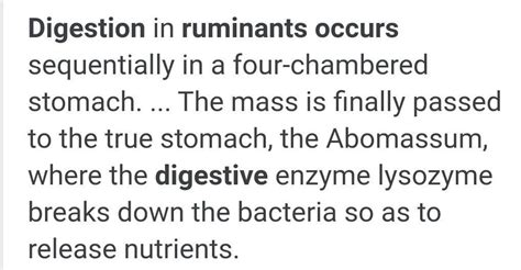 how does the digestion take place in ruminants briefly explain it in ...