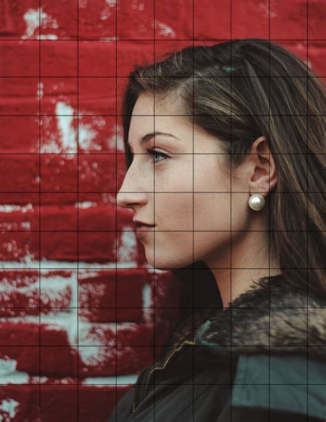 Image result for Grid a Portrait