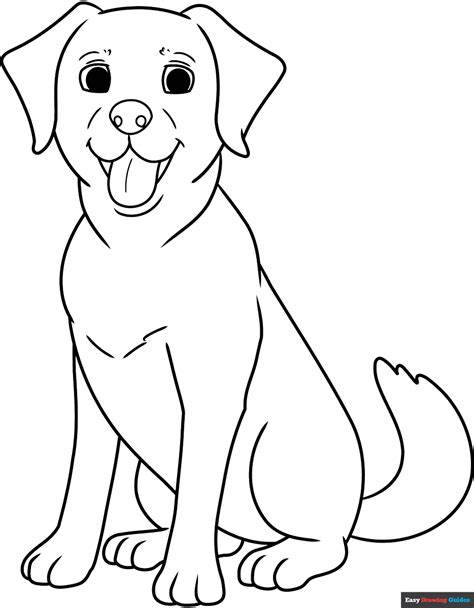 Image result for Labrador Drawing Tutorial