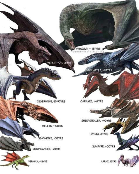Pin by Iveta Petrova on Wmf | Realistic dragon, Got dragons, Game of ...
