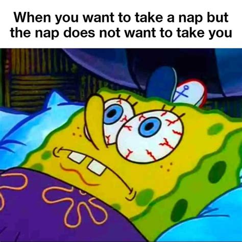 Image result for Programmer Problem No Sleep Meme