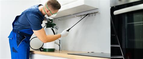 Pest Control Services in Delhi NCR | Green Buddies