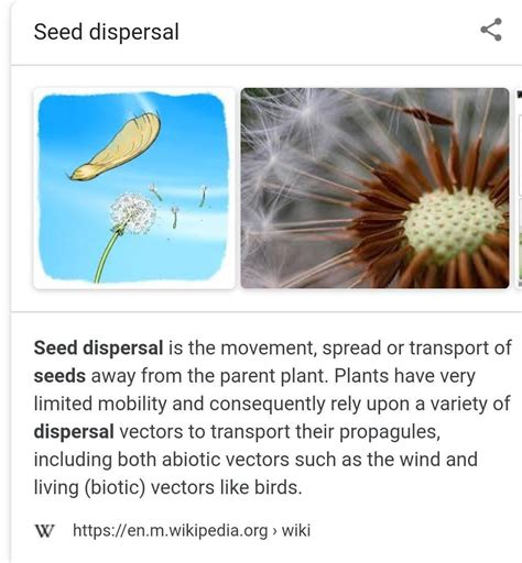 c)Define seed dispersal - Brainly.in