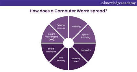 Computer Worms Definition 的图像结果