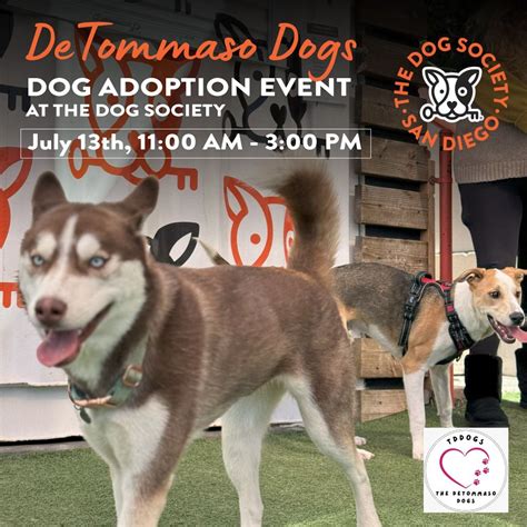 Adoption Event with DeTomasso Dogs, 6331 University Avenue, San Diego ...