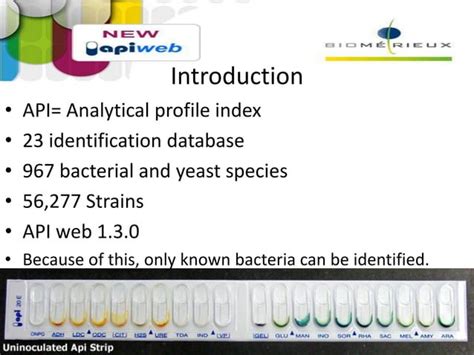 Image result for API Kit 20E