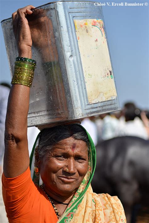 Cattle Market along the route to Mumbai | Meer