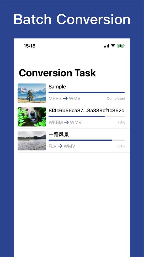 Video Format Converter 的图像结果