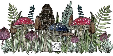 FREE ONLINE EVENT: Intro to Psychedelic Mushroom Journeys - A Convo w ...