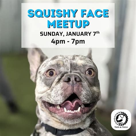 Squishy Face Meetup, 1901 Train Ave Cleveland, OH, United States, Ohio ...