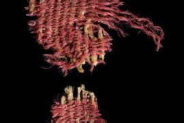 Christian News on Christian Today | ChristianToday India