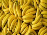 100 Fruits Name in English and Hindi- Check Some Rare Fruits