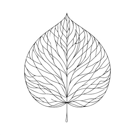 Un dessin d'une feuille avec un dessin linéaire d'un feuille | Vecteur ...