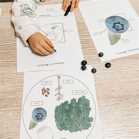 Image result for Peter Rabbit Spring