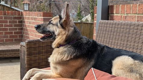 Image result for Time Spent On Debugging