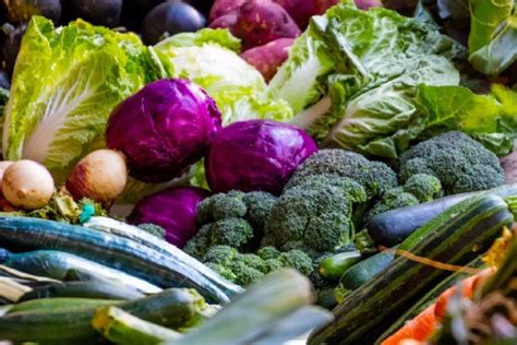 How plant protein foods can reduce CO2 emission