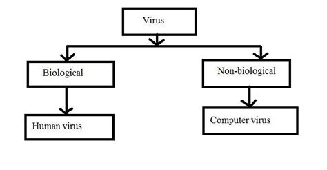 Create a flowchart depicting the difference between the human virus and ...