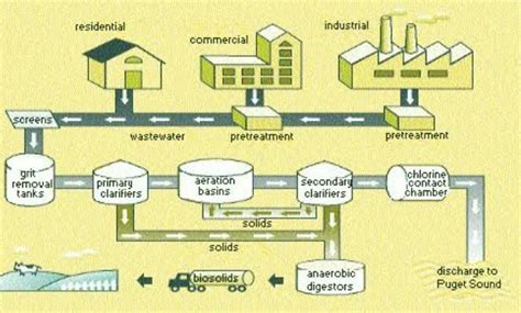 How water is purified for supplying at our home explain with diagram of ...