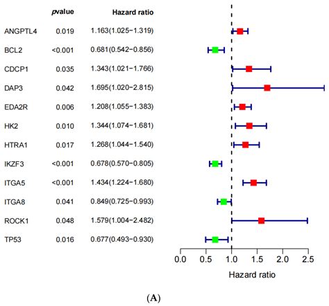 Identification and Validation of the Anoikis-Related Gene Signature as ...