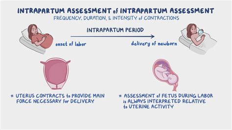 Does Toe Rings Strengthen Your Uterus at Deborah Frias blog