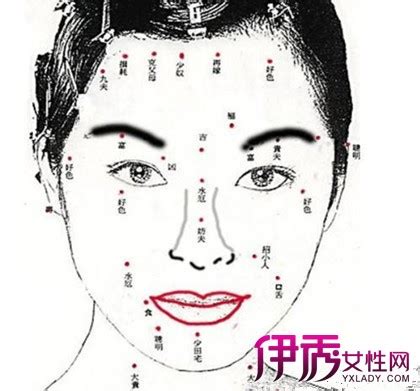 【脸部对应内脏器官图】【图】脸部对应内脏器官图大全 看看你的身体是否异常(2)_伊秀健康|yxlady.com