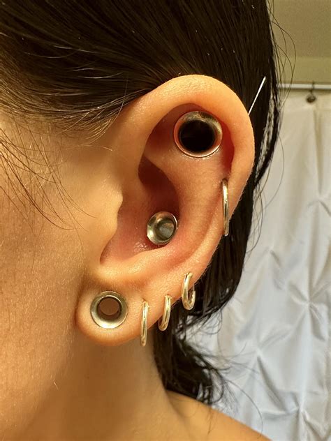 I’m like 3 hole punch Jim 2g lobe, 2g conch, 0g flat : r/Stretched